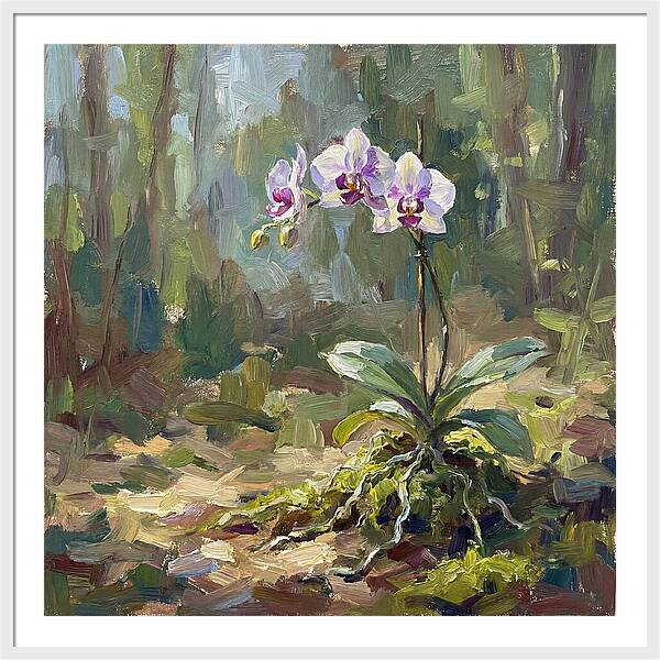 Orchid In Natural Light