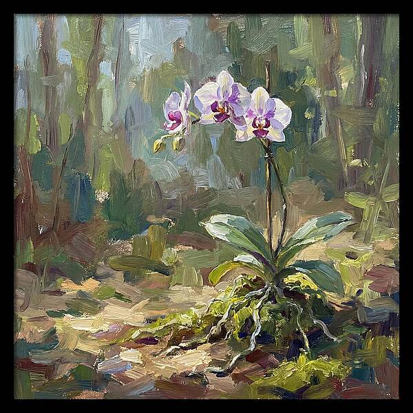 Orchid In Natural Light