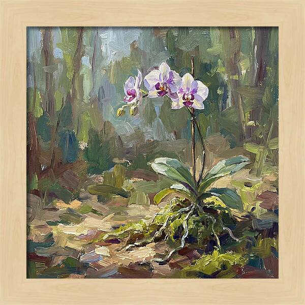 Orchid In Natural Light