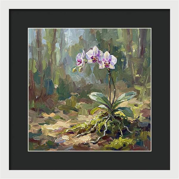 Orchid In Natural Light
