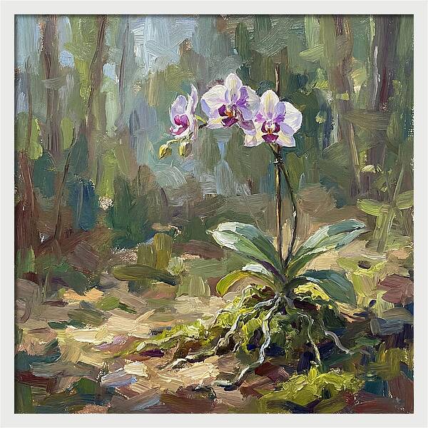 Orchid In Natural Light