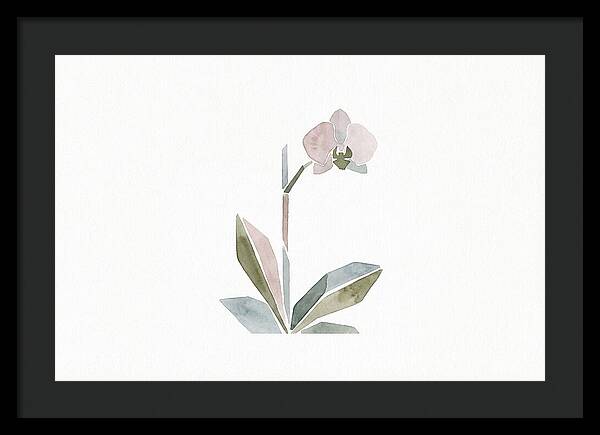 Orchid In Soft Hues