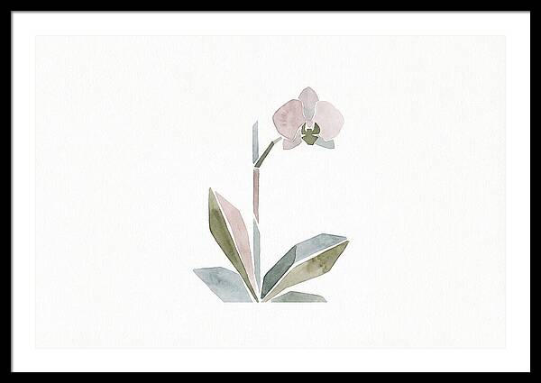 Orchid In Soft Hues