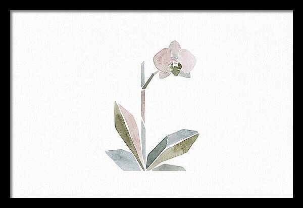 Orchid In Soft Hues