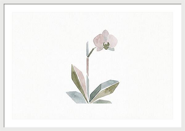 Orchid In Soft Hues