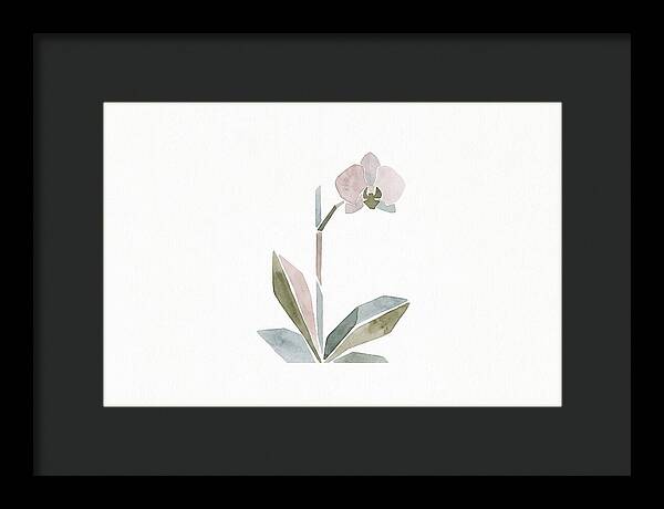 Orchid In Soft Hues