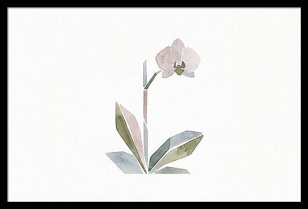 Orchid In Soft Hues
