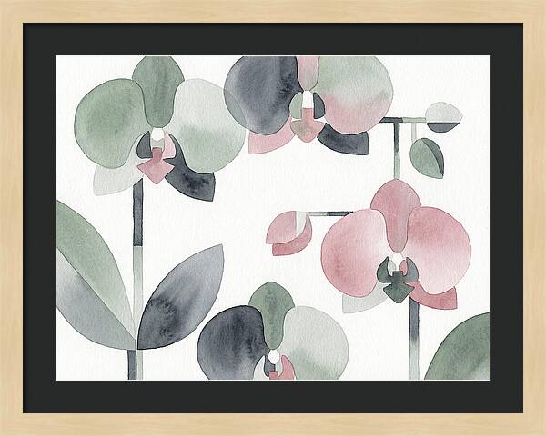 Orchid Oasis Tranquility