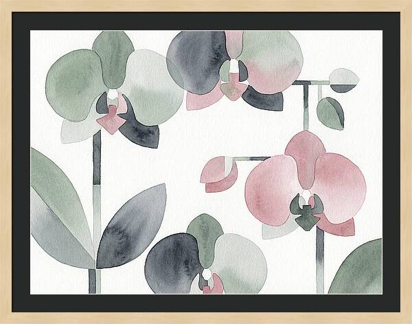 Orchid Oasis Tranquility