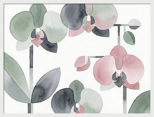 Orchid Oasis Tranquility