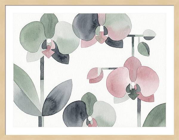 Orchid Oasis Tranquility