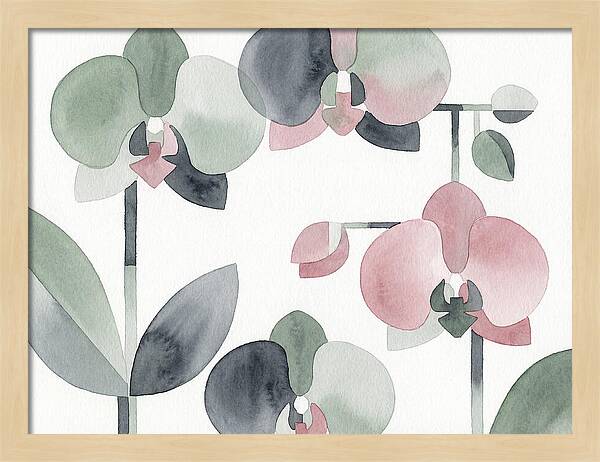Orchid Oasis Tranquility