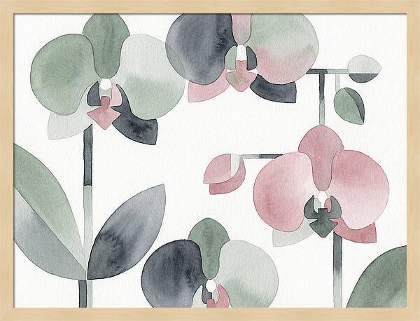 Orchid Oasis Tranquility