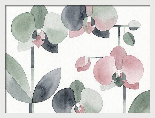 Orchid Oasis Tranquility