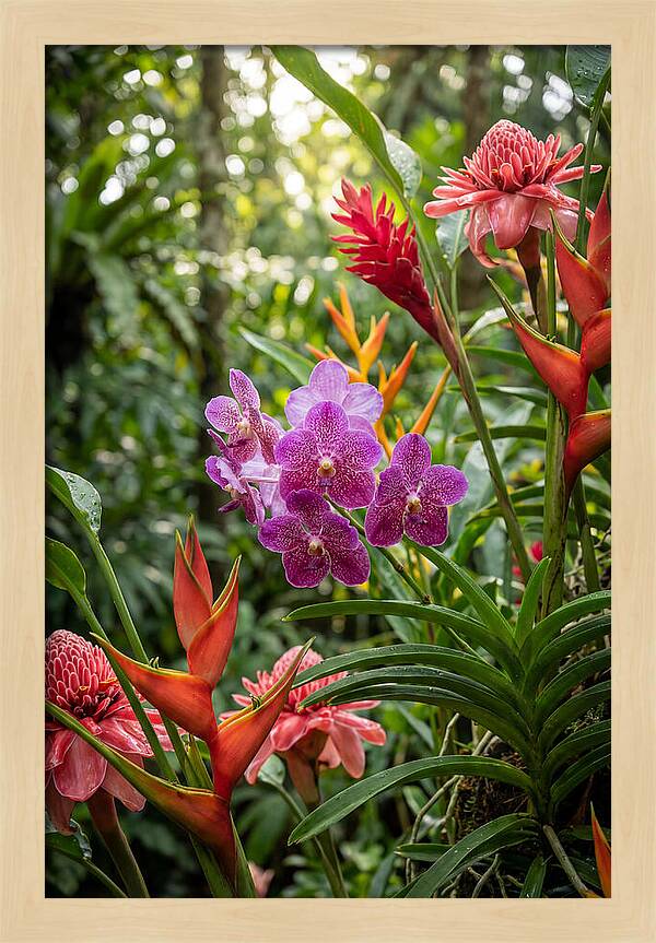 Orchid Paradise In Singapore
