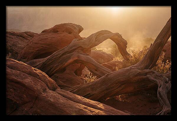 Organic Shapes Interlocking