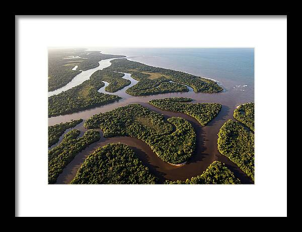 Orinoco Delta Serenity