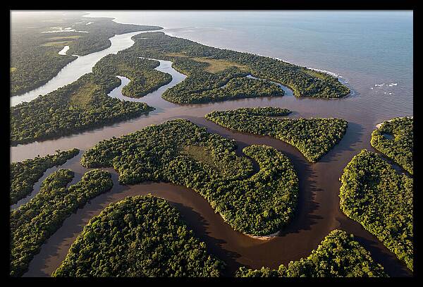 Orinoco Delta Serenity