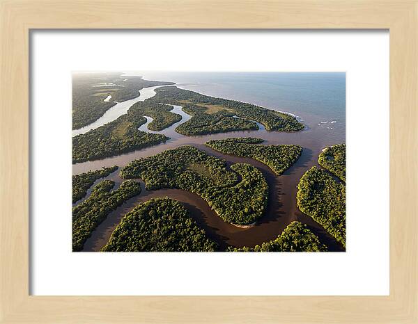 Orinoco Delta Serenity