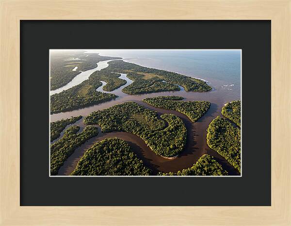 Orinoco Delta Serenity