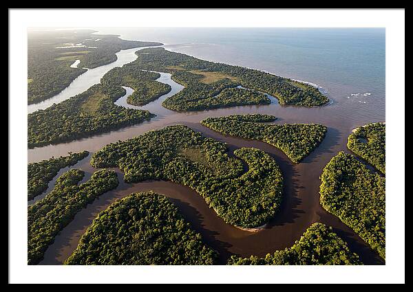 Orinoco Delta Serenity