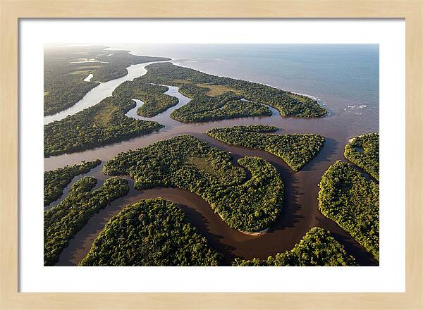 Orinoco Delta Serenity