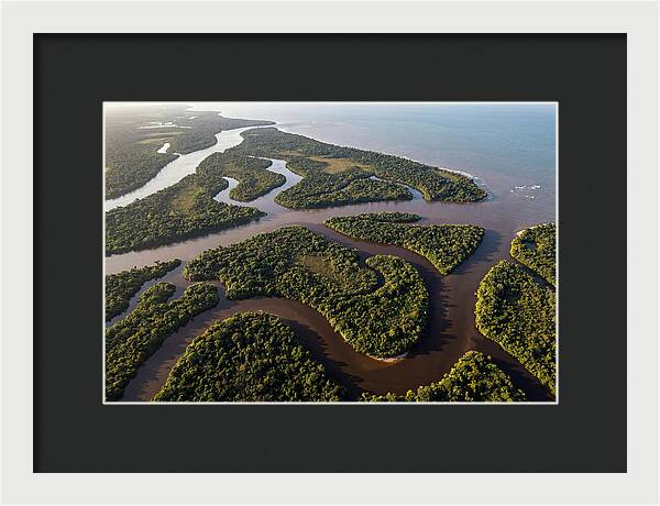 Orinoco Delta Serenity