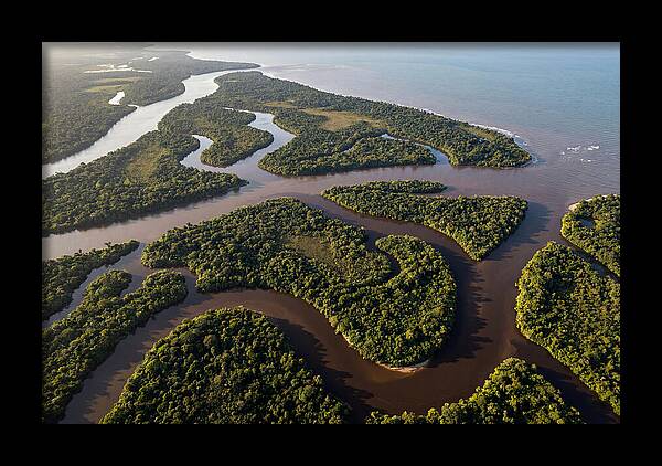 Orinoco Delta Serenity