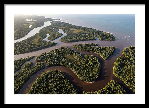 Orinoco Delta Serenity