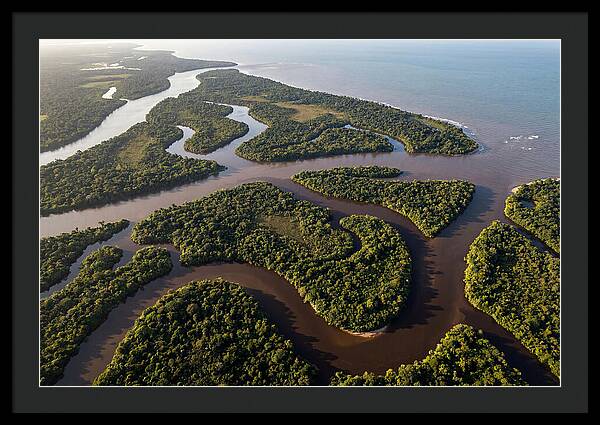 Orinoco Delta Serenity