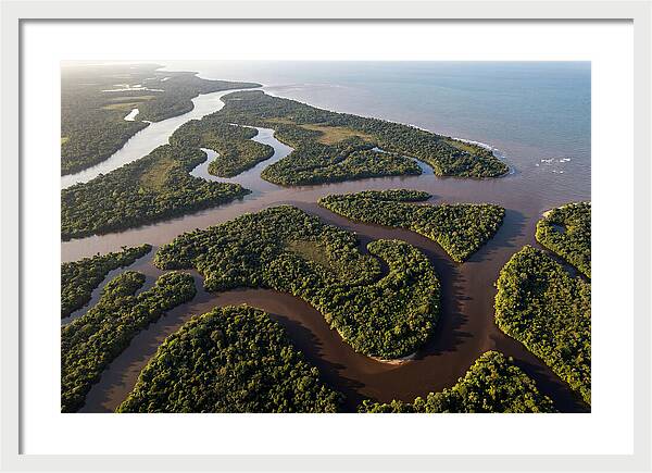 Orinoco Delta Serenity