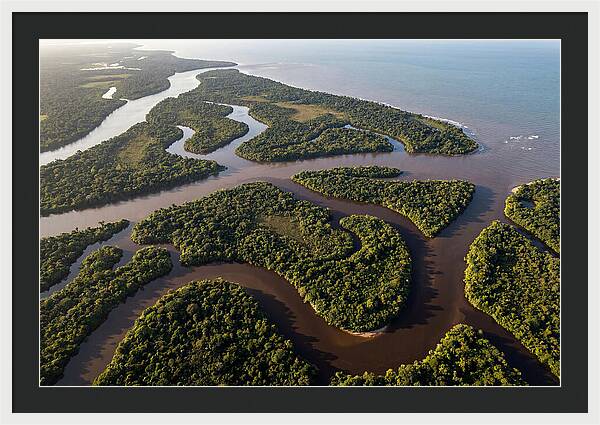 Orinoco Delta Serenity