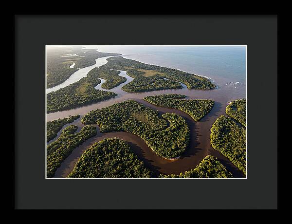 Orinoco Delta Serenity