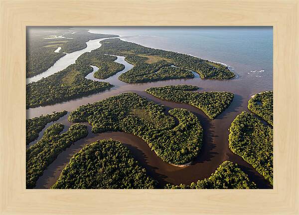 Orinoco Delta Serenity