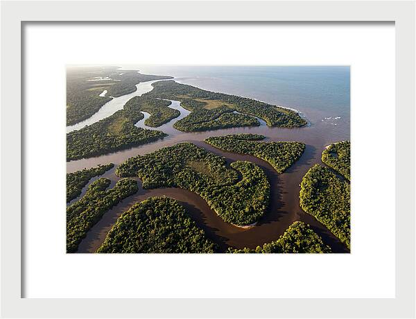 Orinoco Delta Serenity