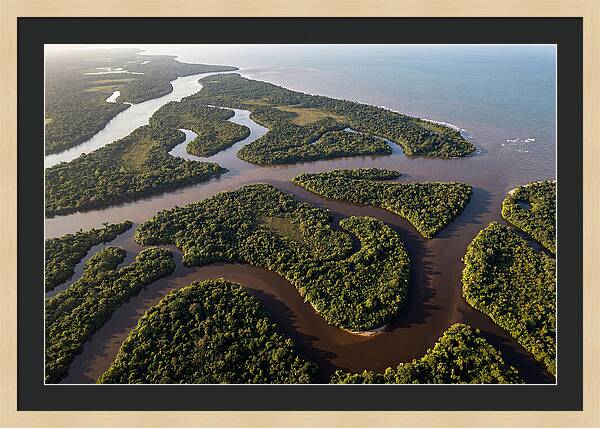 Orinoco Delta Serenity