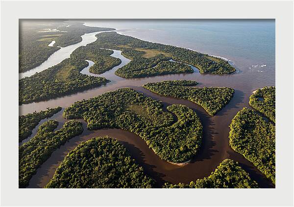 Orinoco Delta Serenity