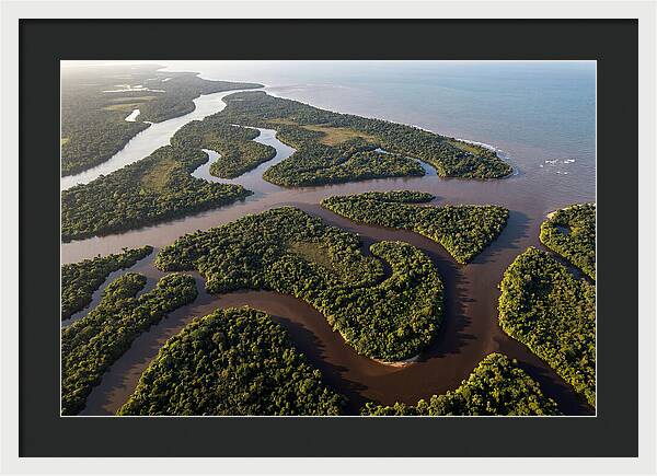 Orinoco Delta Serenity