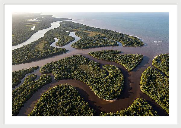 Orinoco Delta Serenity