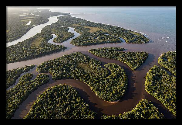 Orinoco Delta Serenity
