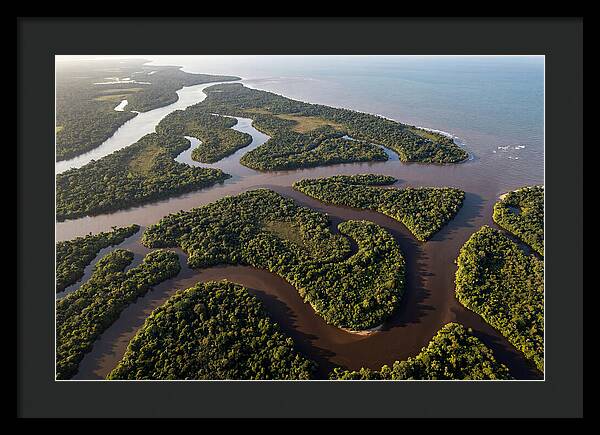Orinoco Delta Serenity