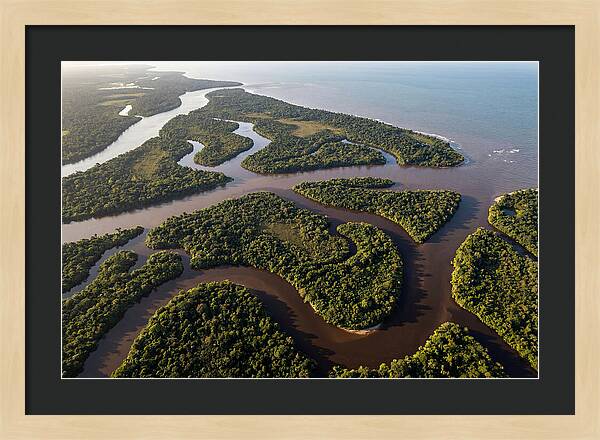 Orinoco Delta Serenity