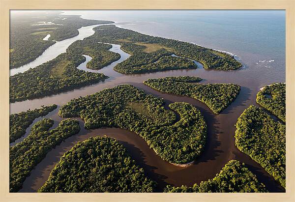 Orinoco Delta Serenity