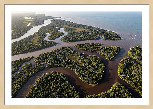 Orinoco Delta Serenity