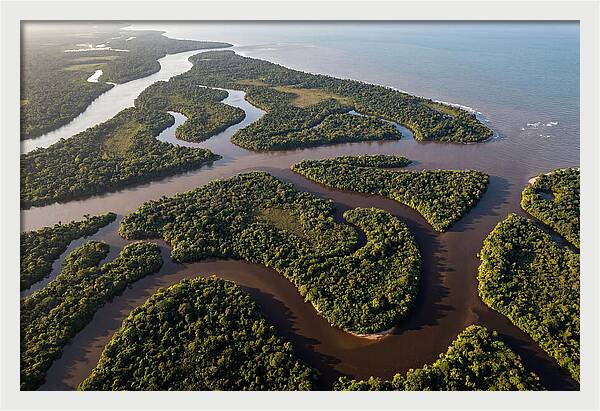 Orinoco Delta Serenity