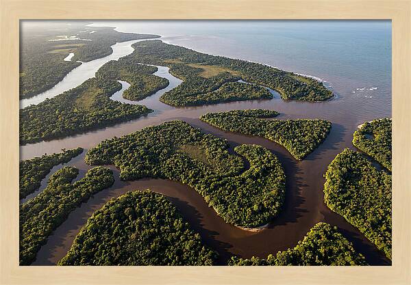 Orinoco Delta Serenity