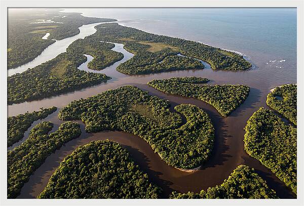 Orinoco Delta Serenity