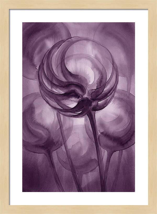 Ornamental Allium Globe
