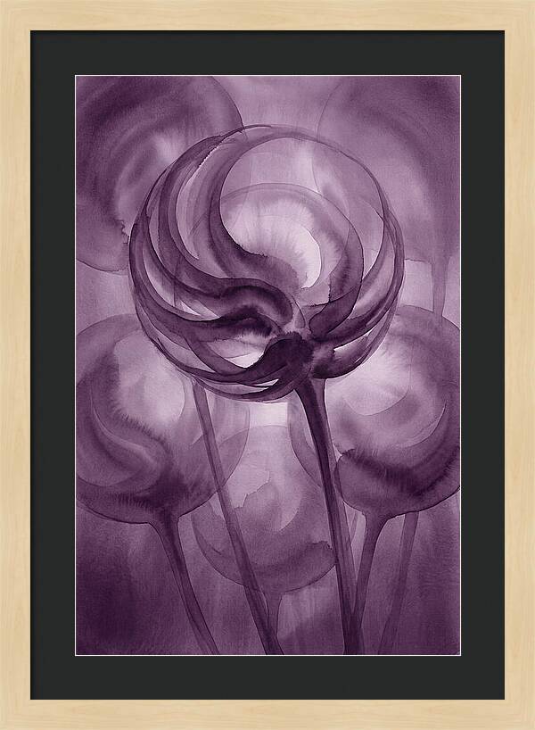 Ornamental Allium Globe