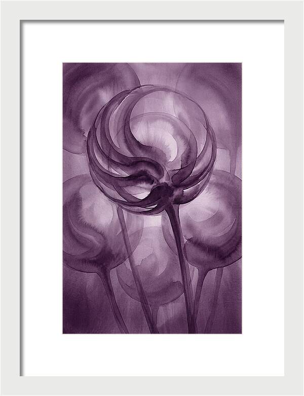 Ornamental Allium Globe